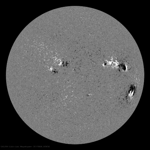 Image of Sun's magnetic field