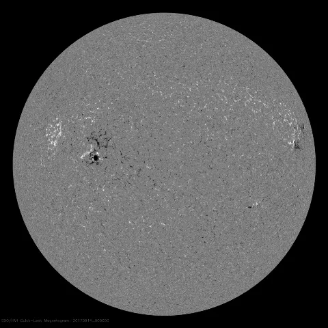 Image of Sun's magnetic field