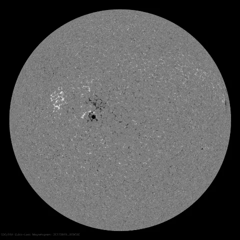 Image of Sun's magnetic field