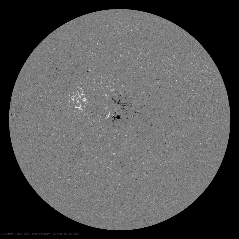 Image of Sun's magnetic field