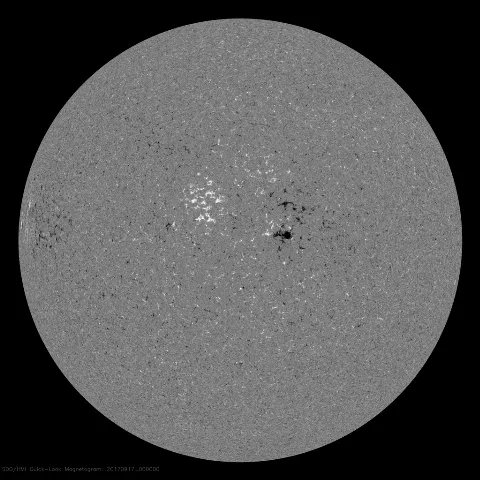 Image of Sun's magnetic field