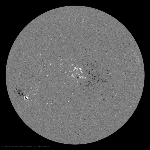 Image of Sun's magnetic field