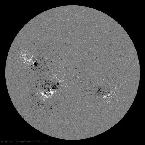 Image of Sun's magnetic field