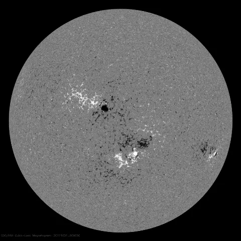 Image of Sun's magnetic field