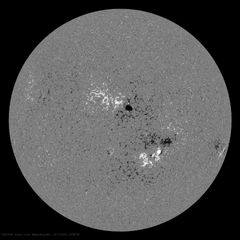 Image of Sun's magnetic field