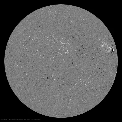 Image of Sun's magnetic field