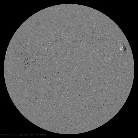 Image of Sun's magnetic field