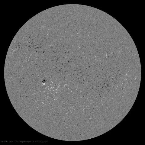 Image of Sun's magnetic field