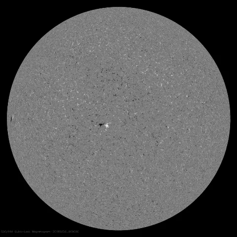 Image of Sun's magnetic field