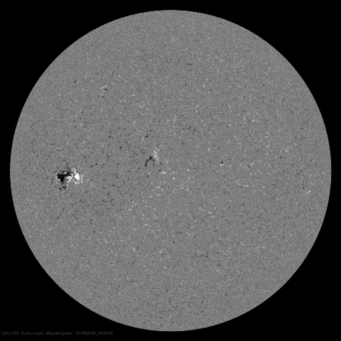 Image of Sun's magnetic field