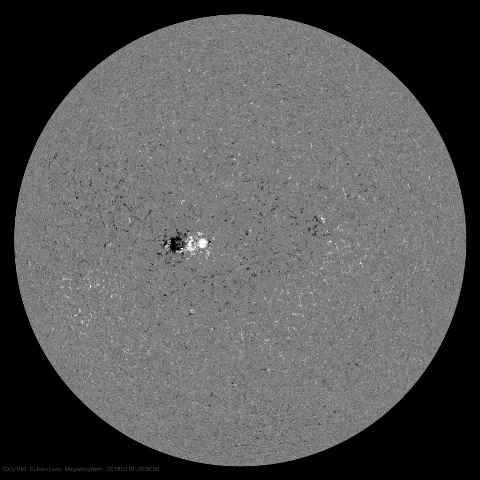 Image of Sun's magnetic field