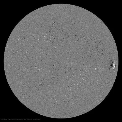 Image of Sun's magnetic field