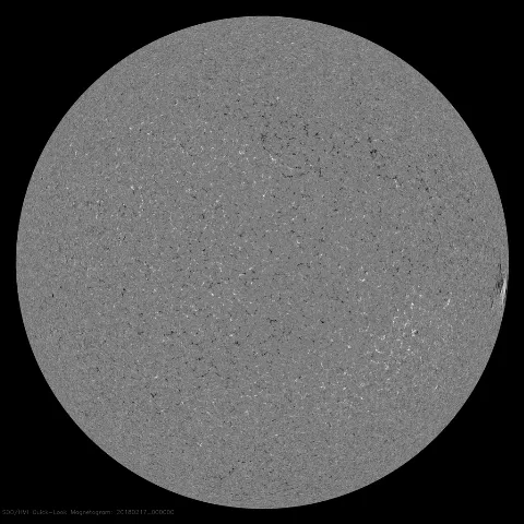 Image of Sun's magnetic field