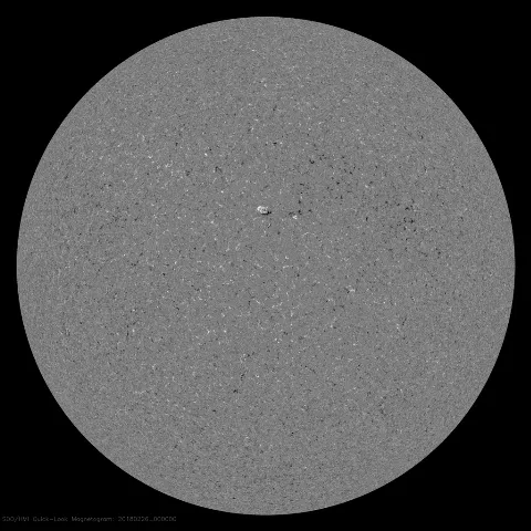 Image of Sun's magnetic field