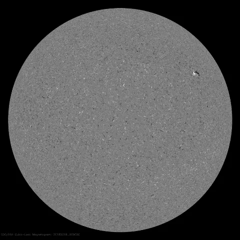 Image of Sun's magnetic field