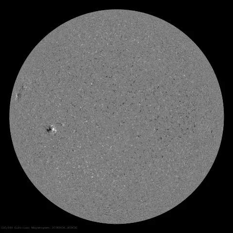 Image of Sun's magnetic field