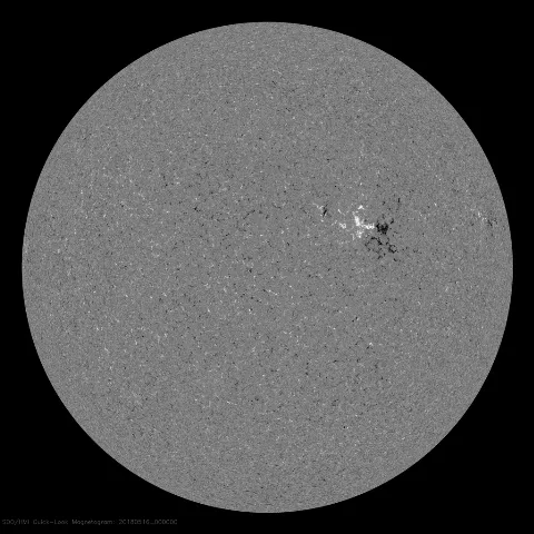 Image of Sun's magnetic field