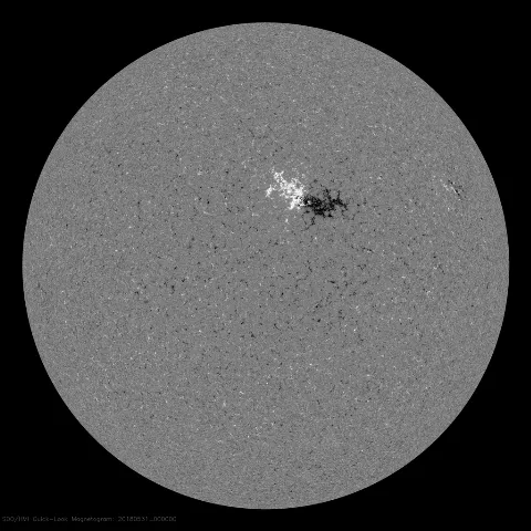 Image of Sun's magnetic field