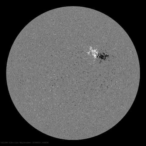 Image of Sun's magnetic field