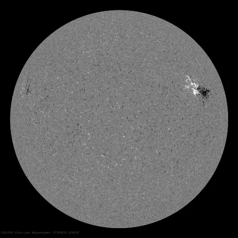 Image of Sun's magnetic field