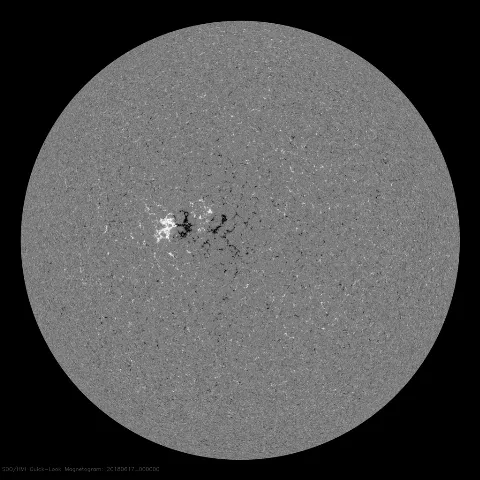 Image of Sun's magnetic field