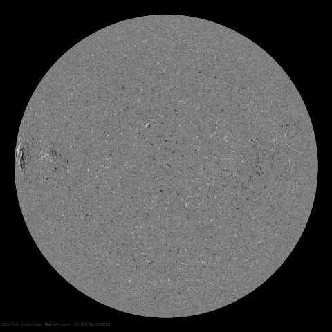 Image of Sun's magnetic field