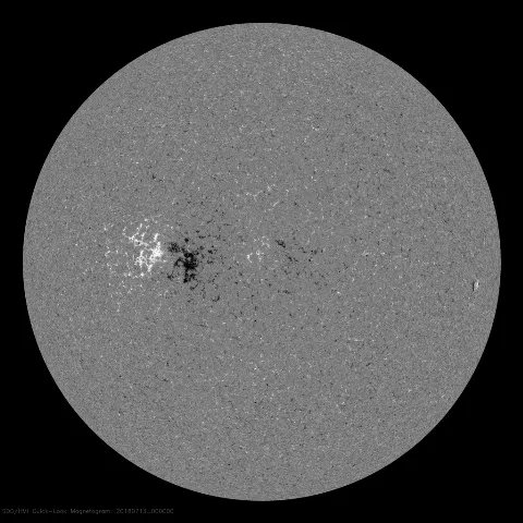 Image of Sun's magnetic field