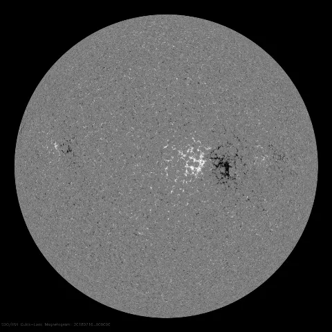 Image of Sun's magnetic field