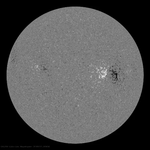 Image of Sun's magnetic field