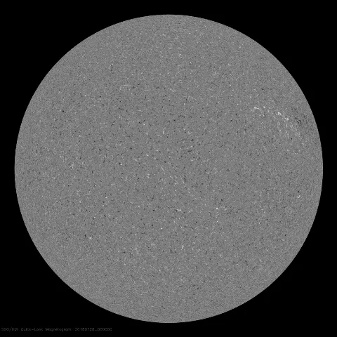 Image of Sun's magnetic field