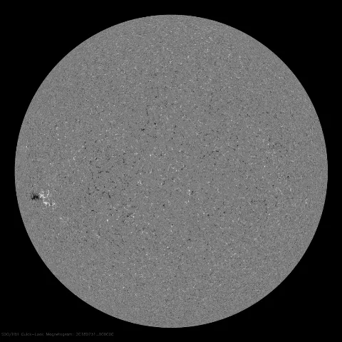 Image of Sun's magnetic field