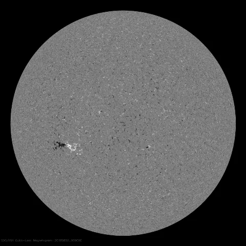 Image of Sun's magnetic field