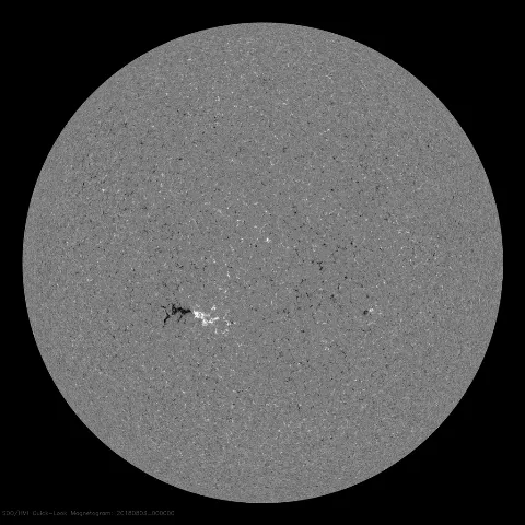 Image of Sun's magnetic field