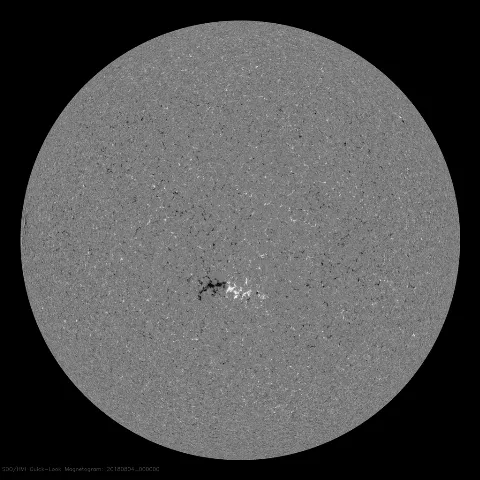 Image of Sun's magnetic field