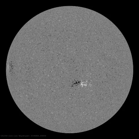 Image of Sun's magnetic field