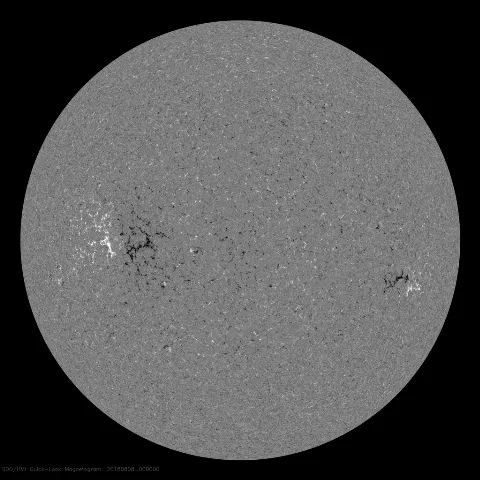 Image of Sun's magnetic field