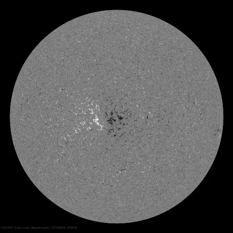 Image of Sun's magnetic field