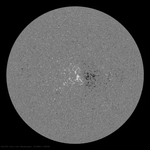 Image of Sun's magnetic field