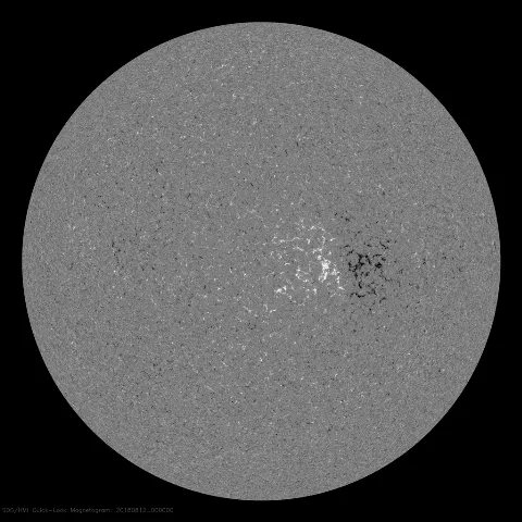 Image of Sun's magnetic field