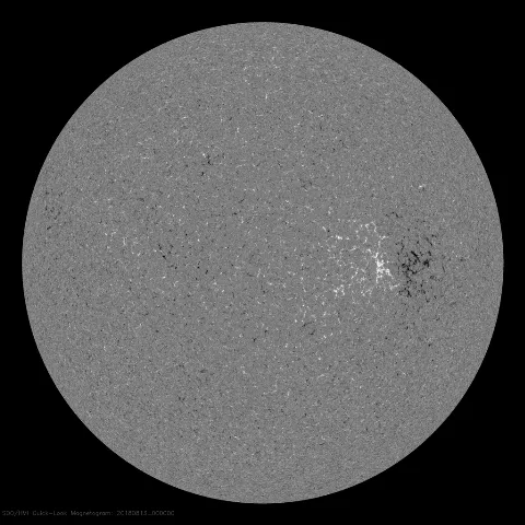 Image of Sun's magnetic field