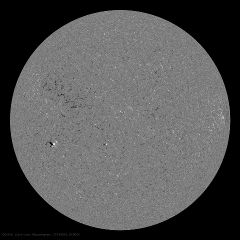 Image of Sun's magnetic field