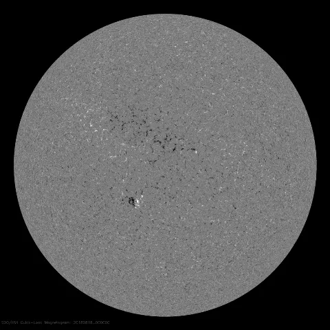 Image of Sun's magnetic field