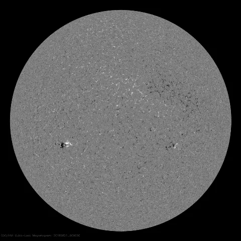 Image of Sun's magnetic field