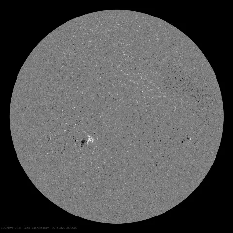 Image of Sun's magnetic field