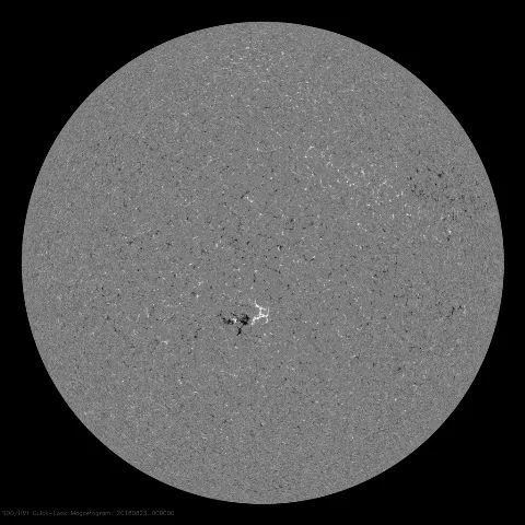 Image of Sun's magnetic field