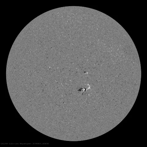 Image of Sun's magnetic field