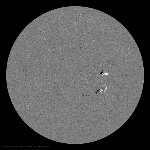 Image of Sun's magnetic field