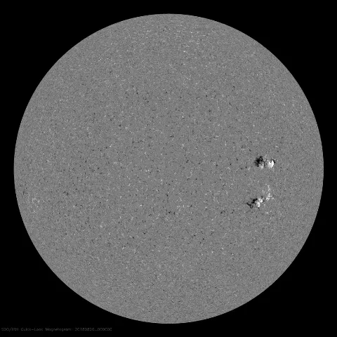 Image of Sun's magnetic field