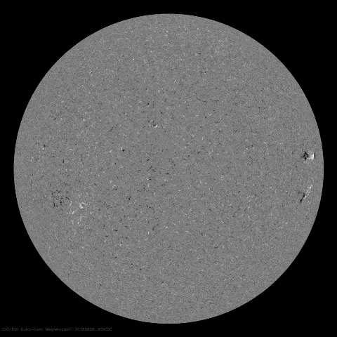 Image of Sun's magnetic field