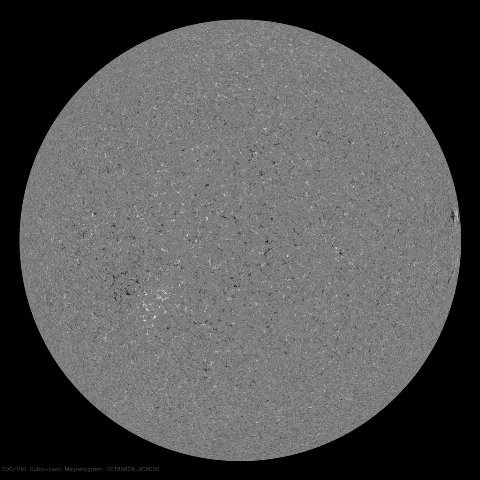 Image of Sun's magnetic field